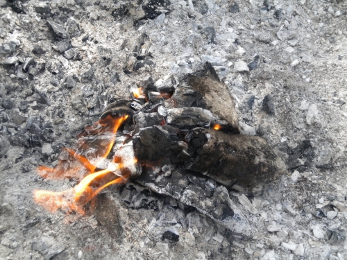 Hofeuerglut